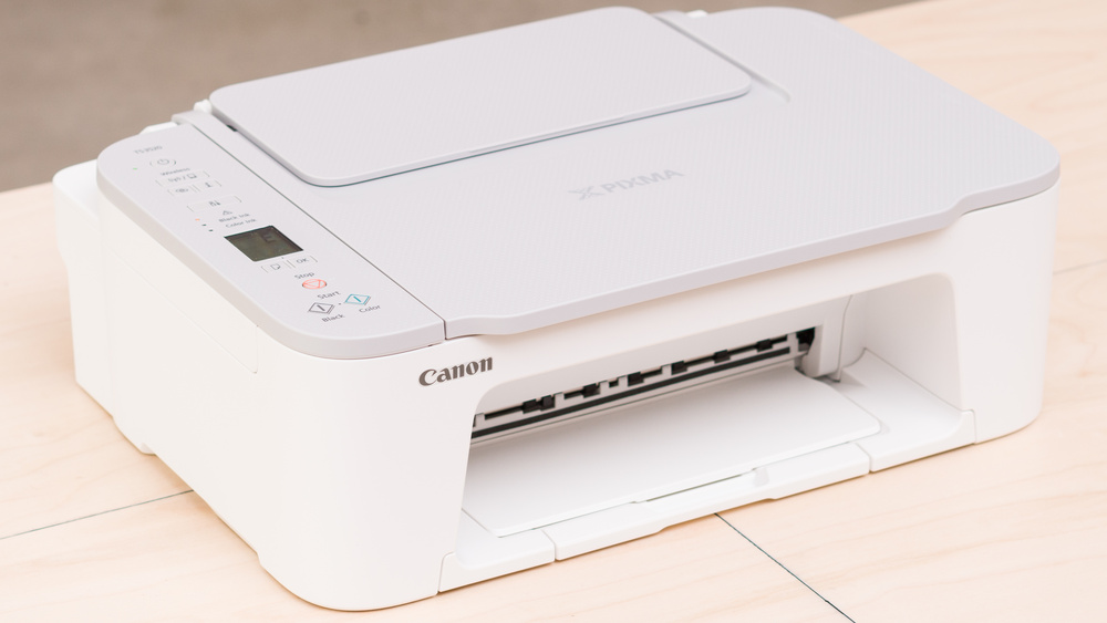 Why Canon Printer Wont Print